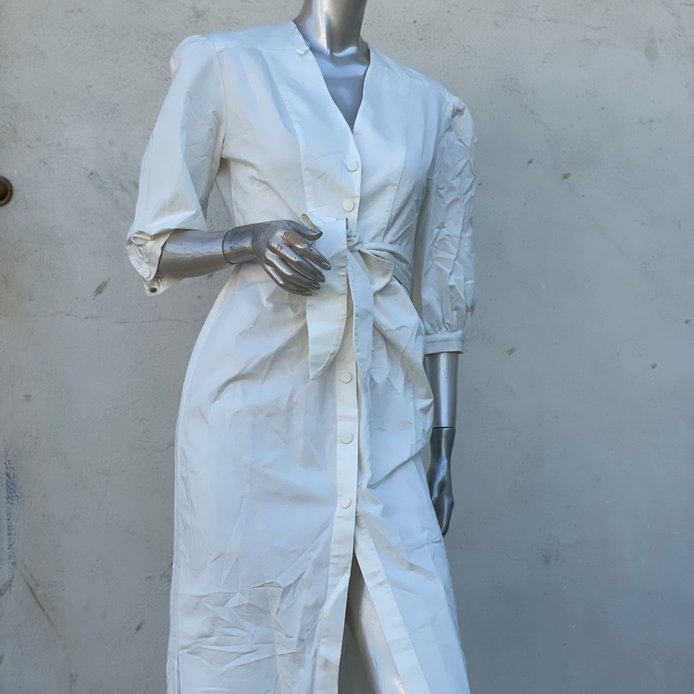 Zara dress